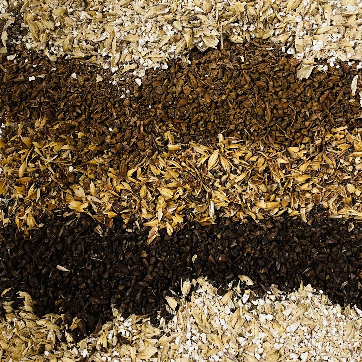 Beep! Beep! All aboard the bandwagon! 🚌🚌🚌

5 malt Ruby Mild, Tuesday, dropping in to FV3 (Ned Nederlander) today 

#MaltyMcMaltface