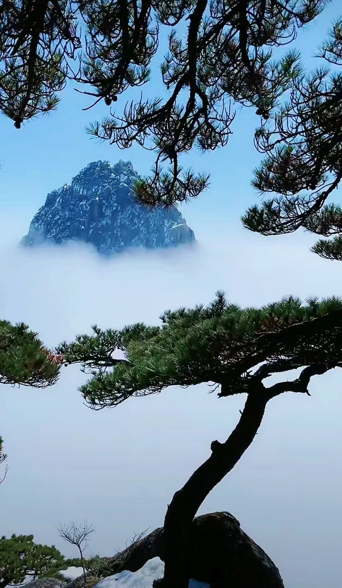 今日的黃山。
