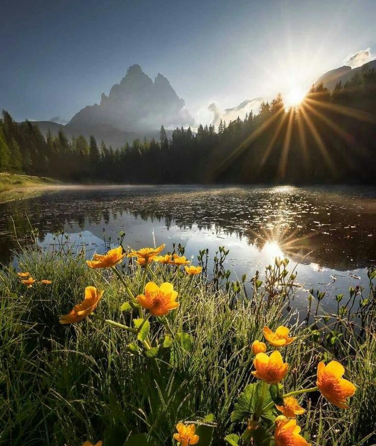 Love is a light that doesn't let life go dark❤️👠

#NatureBeauty #NaturePhotography