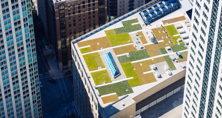 #Groen 🌳 | Mensen worden gelukkig van natuur om zich heen. Volgens Green Cities programmaleider @marianstuiver van  @wurenvironment moeten we onze steden radicaal vergroenen. Maar hoe? Ze vertelt erover bij @bnr  📻👇 bit.ly/3GQK2k7