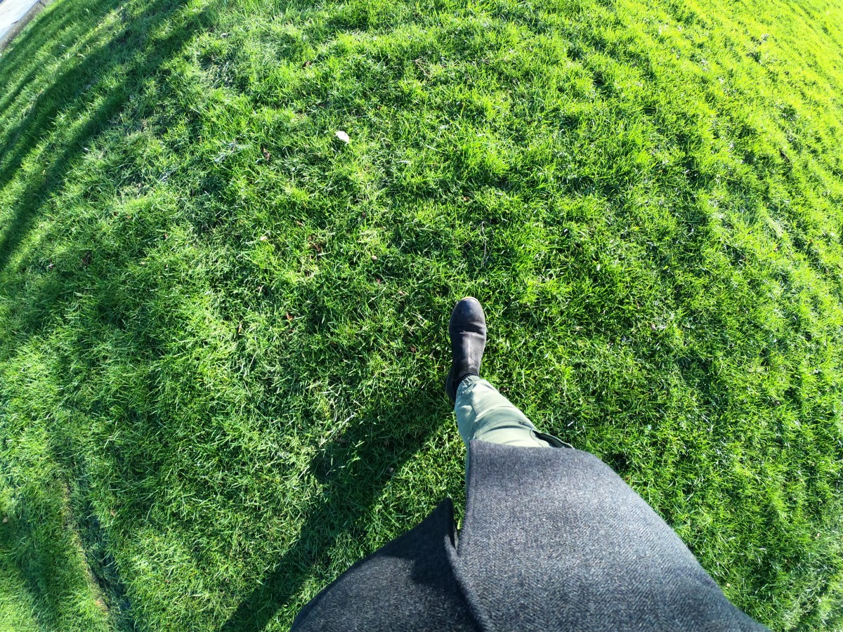 ISEDE2's tweet photo. Leading organizations are already achieving impressive results by focusing the effort and ingenuity of their R&amp;D teams on the sustainability https://t.co/xzQQusr5vG https://t.co/BhXO1JdwcI