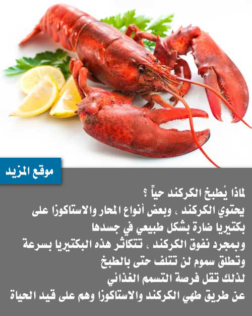 ar_pharmacy's tweet photo. لماذا يُطبخ الكركند حياً؟ 
يحتوي #الكركند، وبعض أنواع المحار والاستاكوزا على بكتيريا ضارة بشكل طبيعي في جسدها.
وبمجرد نفوق الكركند، تتكاثر هذه البكتيريا بسرعة وتطلق سموم لن تتلف حتى بالطبخ.
لذلك تقل فرصة التسمم الغذائي عن طريق طهي الكركند وهو على قيد الحياة!
#موقع_المزيد https://t.co/bO6QqMkrxk