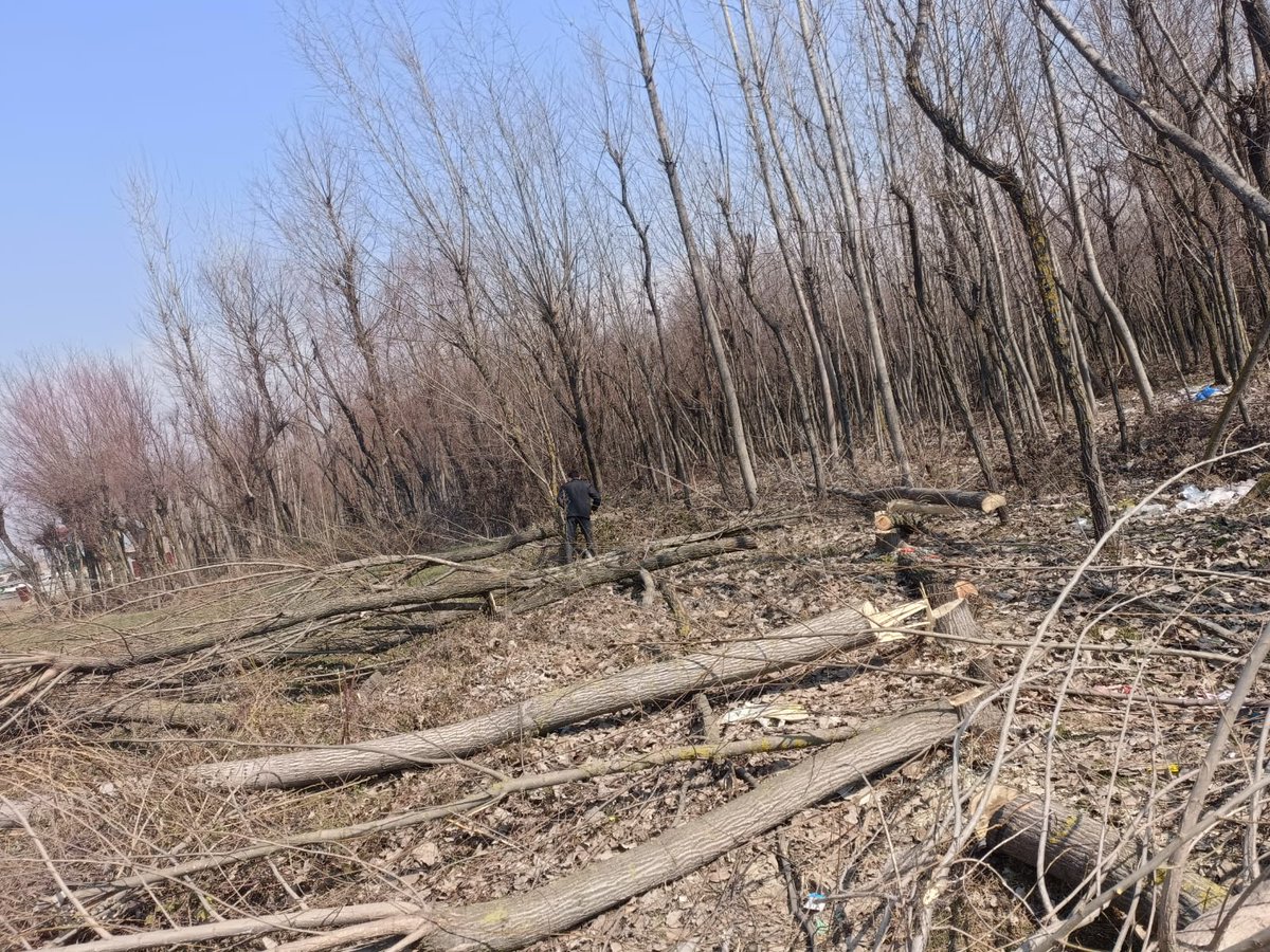 DC_Budgam's tweet photo. Retrieval of kahcharaie land in Kral pora. 69 kanal of land retrieved from encroachment at B.K Pora.
@diprjk 
@OfficeOfLGJandK 
@shahbazmirza9 
@ddnewsSrinagar 
@DDKashirChannel https://t.co/UWPxkjr4YU
