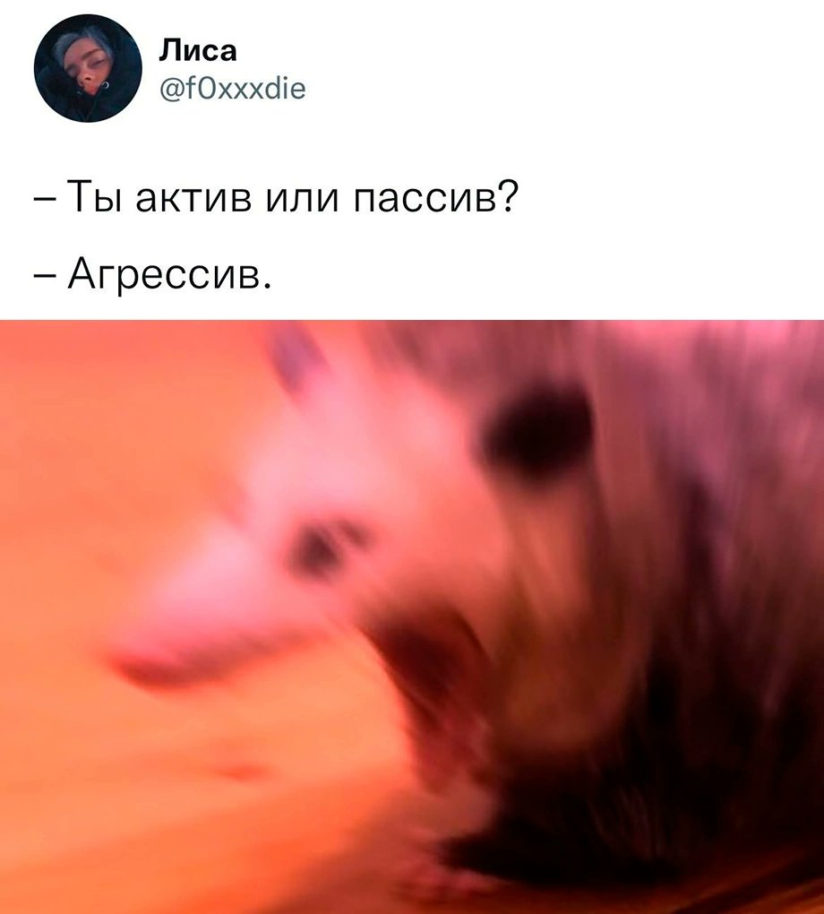AjdenB's tweet photo. #weddingsforrussia нам не оставили выбора😁 https://t.co/jBHBRkTsNQ