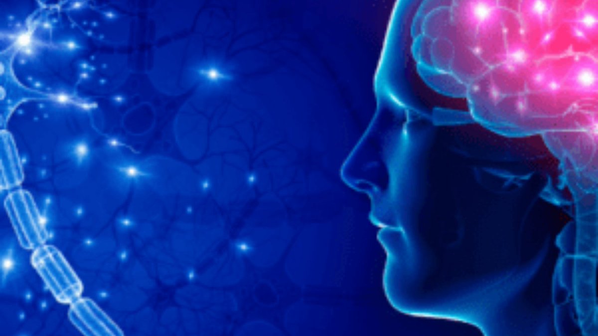 epilepsy_scot's tweet photo. Our Understanding Epilepsy online course provides a thorough introduction to epilepsy, the causes of epilepsy and types of seizures plus much more. For more info, please go to our website: https://t.co/oNHJjDw2YY
#UnderstandingEpilepsy #Epilepsy #EpilepsyAwareness #Seizures https://t.co/G1wgy7fOP5