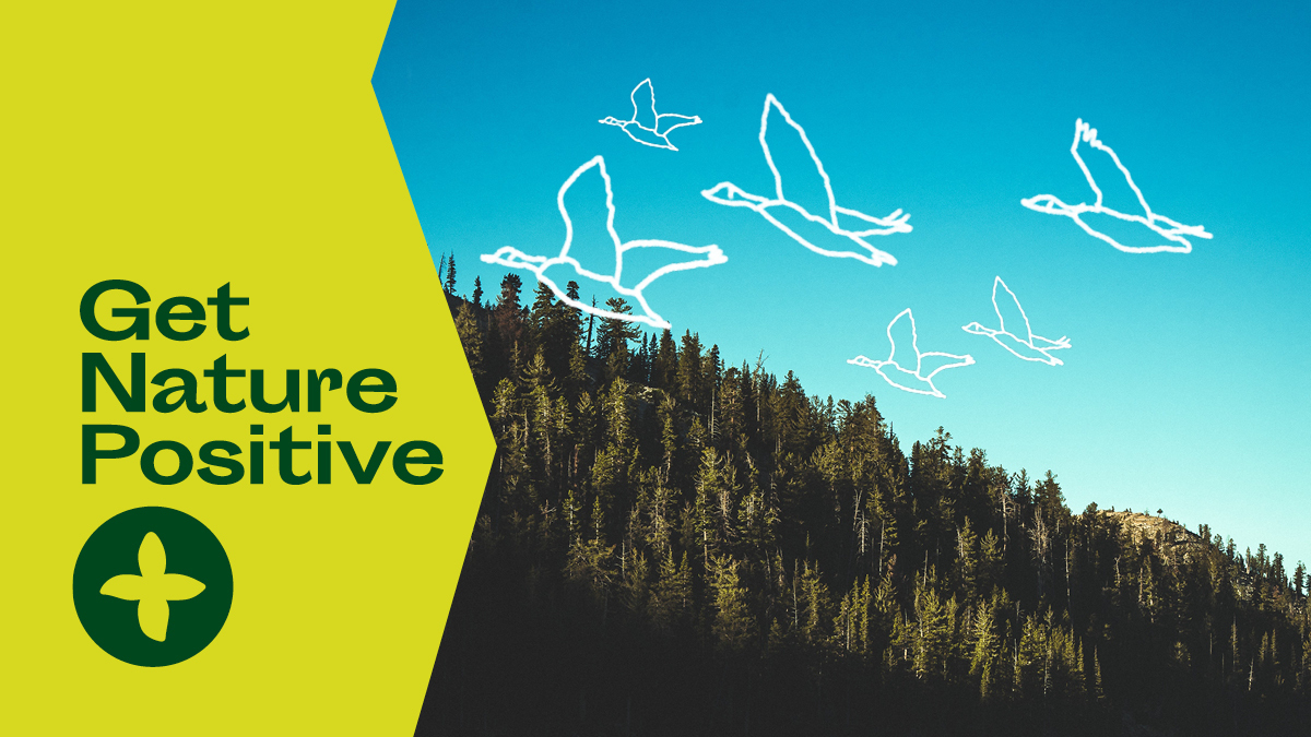 WeedonGroup's tweet image. We’ve joined #GetNaturePositive so we can continue to get to know and improve our impact on our planet.

Join us on our mission to #GetNaturePositive at getnaturepositive.com 

#TogetherForOurPlanet

@DefraGovUK @DefraNature @globalcommonshq @AccentureUK