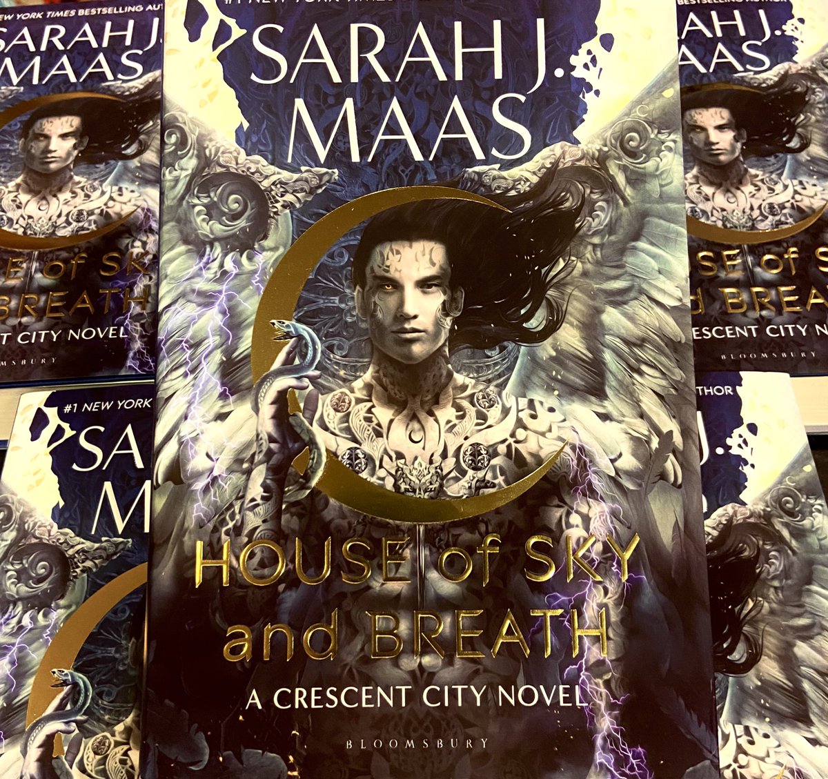 Maas is back again with her highly anticipated second instalment of the Crescent City series: A House of Sky and Breath. Bryce and Hunt return in a book full of intense adventure and smouldering romance. Maas doesn’t disappoint! ✨🌙✨