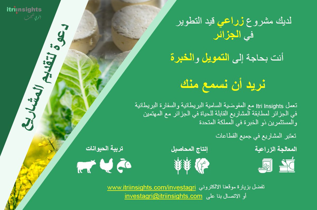 InsightsItri's tweet photo. لديك #مشروع #زراعي قيد التطوير في #الجزائر
أنت بحاجة إلى #التمويل #والخبرة
نريد أن نسمع منك
https://t.co/WhkEewOzk1 https://t.co/b3Y0xqXH75