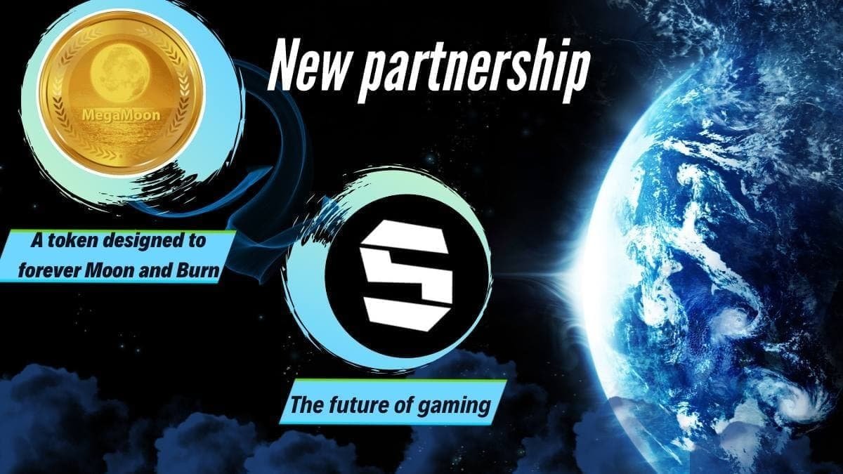 MegaMoon Token tweet media