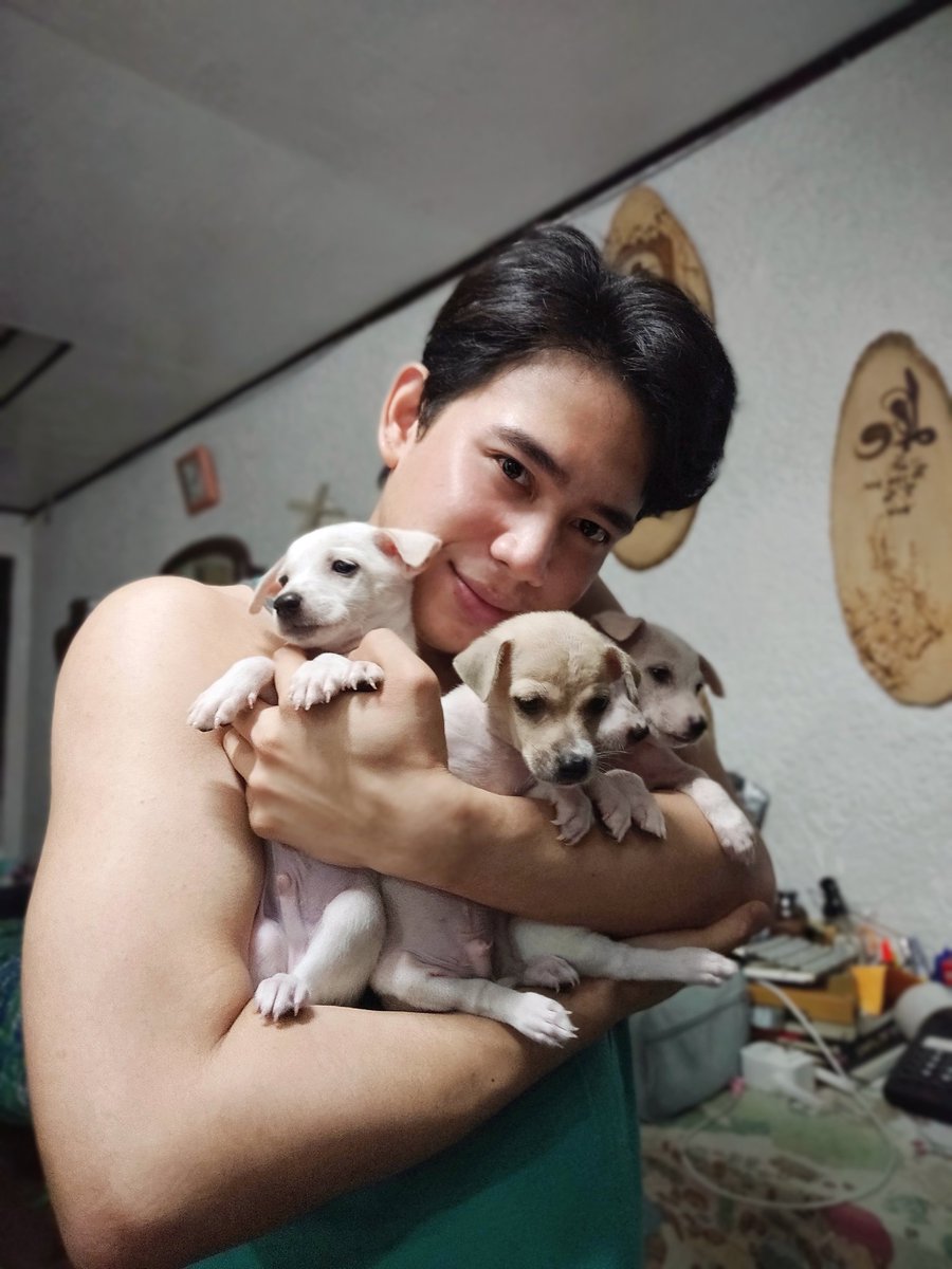 karlggabriel's tweet photo. still for adoption, 3 white aspin puppies  🐾🤍 
*the one with the brown spots has an owner already*
#AdoptDontShop #AdoptDontBuy https://t.co/2WwFWkKoXq