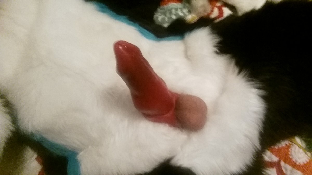 Unsolicited dick pic