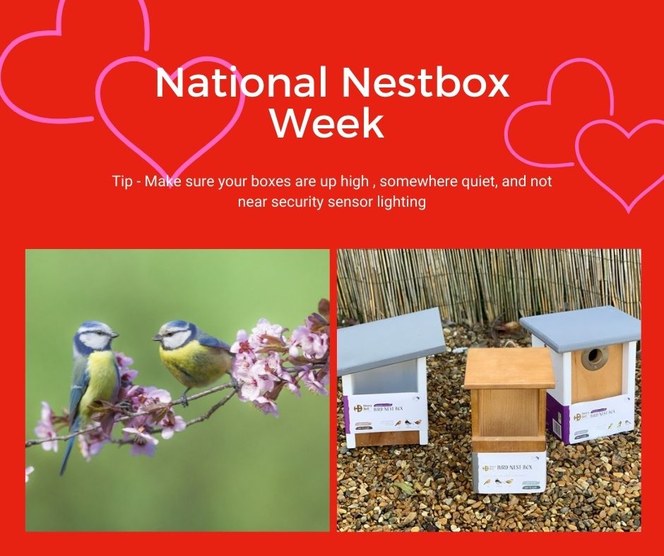 Coblands Garden Centre tweet media