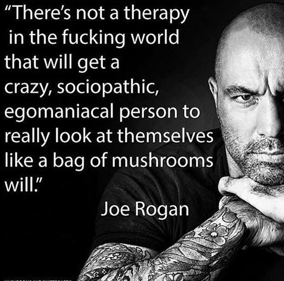 occultbot (@0ccultbot) on Twitter photo 