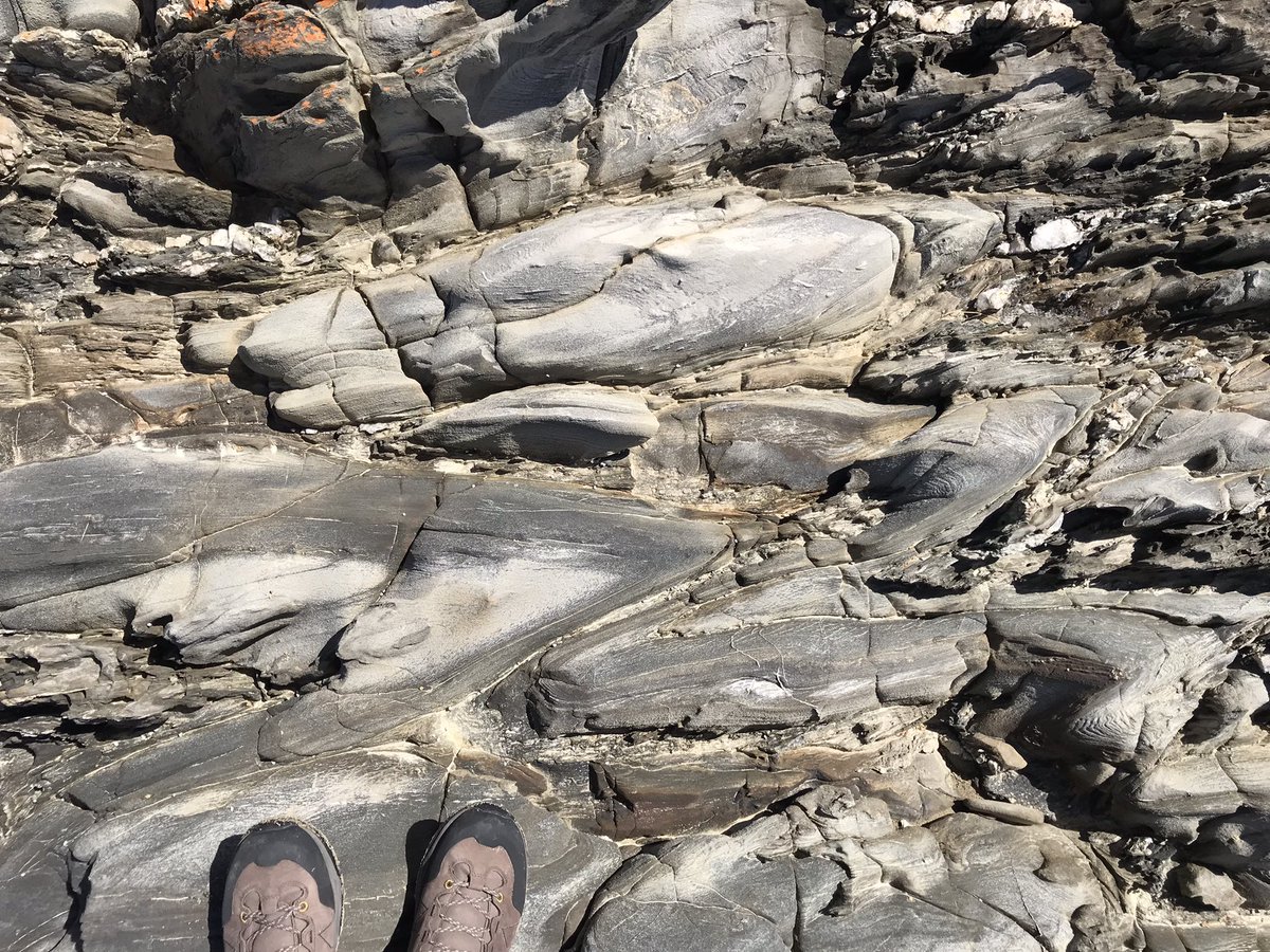 sandramcgeo's tweet photo. Have a #fold, or several, and everything will be better #geology #GEOL30002 #CapeConran https://t.co/EM5DXuurOI
