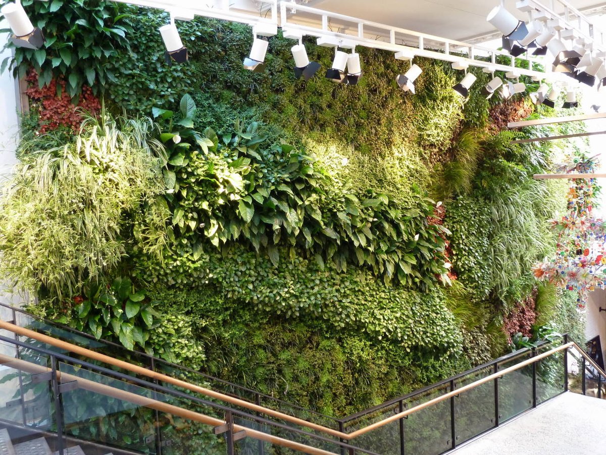 Its Green Wall Day, so would like to share some of the walls I've designed in the past15 years.  I've worked in the UK, USA, UAE, Europe, Norway and Iceland.  Living walls, large or small, can transform our urban streetscapes.

#livingwallday #greenwallday #greenwalldesign