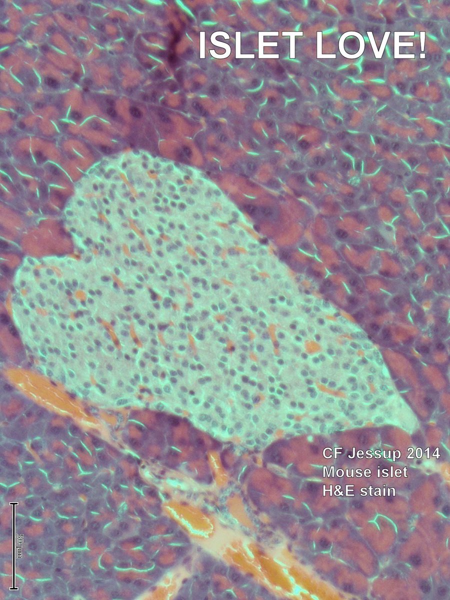 Immunomodulation Laboratory tweet media