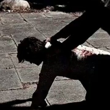 FLopnUYXMAMyXAC?format=jpg&name=360x360