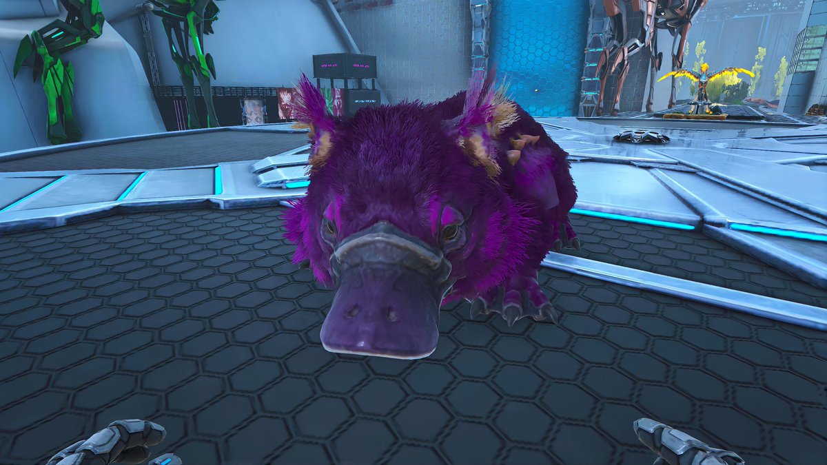 touhubito's tweet photo. Color ID:90
MediumLavender
#ArkSurvivalEvolved
#Maewing https://t.co/gq50Kin3w8