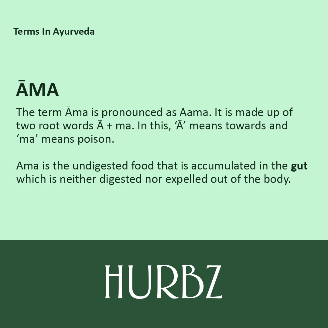 HurbzIndia's tweet photo. #Ama is the term used in #Ayurveda for the #undigestedfood that Is accumulated in the #gut and is neither digested nor expelled out of the body. This causes the disturbance in #metabolism.
➡️ Follow @HurbzIndia
#Hurbz #ReengineeringHealth #undigestedfood #Wordmeaning #poison https://t.co/W7jt0aVW8f