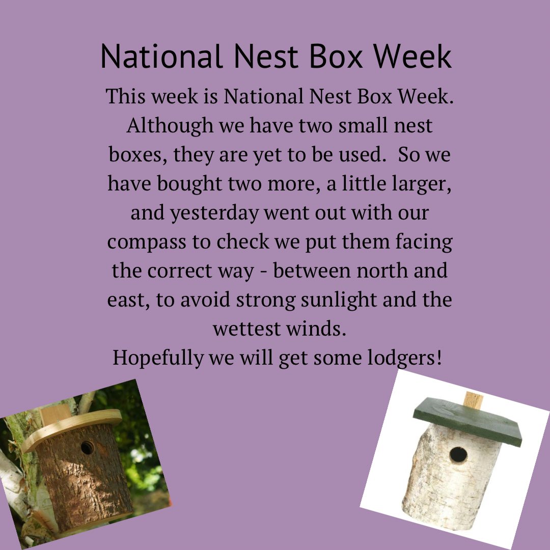 MillburnSkye's tweet photo. #nationalbirdboxweek are you lucky enough to have birds nesting in your garden? Do you have any tips for success?
#birdwatching #birds #BirdsSeenIn2022 #Highlands #bedandbreakfast #stayinscotland https://t.co/Fv0PyKXiZ4
