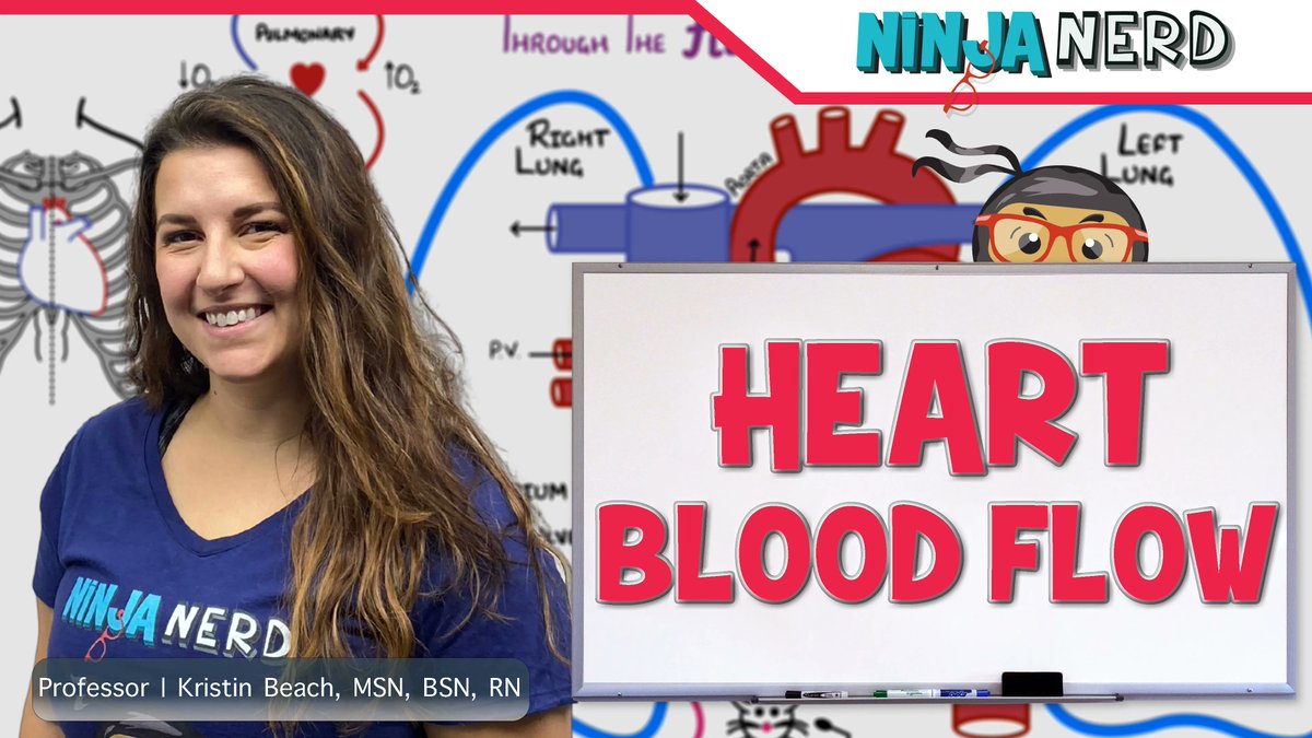 NinjaNerdSci's tweet photo. New Video Today! โค๏ธ
Join Kristin as she shows you the complete blood flow through the heart!
#ninjanerd #ninjanerdlectures #ninjanerdscience #bloodflow https://t.co/vbCKgpEgf8