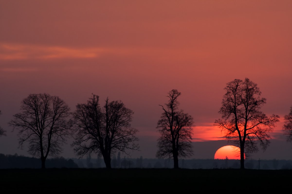 BethFratesMD's tweet photo. "Think of all the beauty still left around you and be happy." Anne Frank

#TuesdayThoughts #TuesdayMotivation #TuesdayMorning https://t.co/ZQeKpoW75W