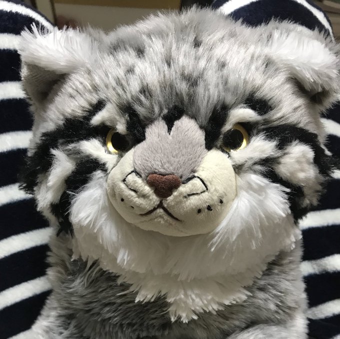 サンレモン ひざシリーズ 那須どうぶつ王国限定 ひざマヌル