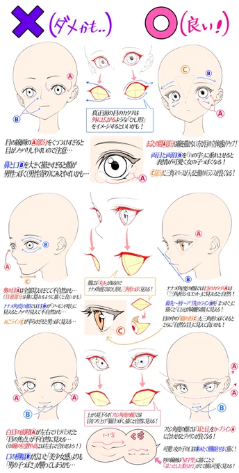 美少女の顔デッサン比率⭕️❌講座 