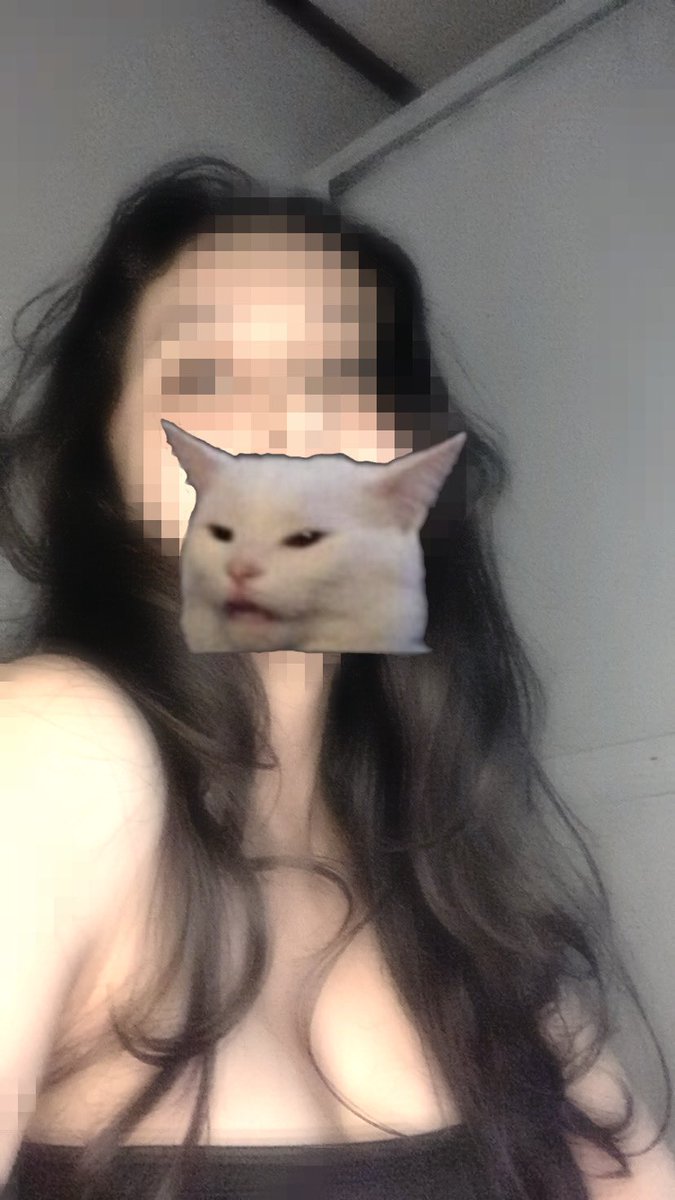 carmifjd's tweet photo. bec cat memes https://t.co/sre1qF2FZY