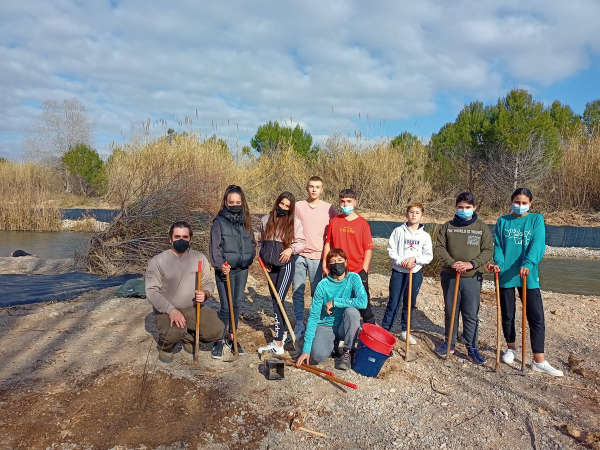 🌳⛏️Continuem recuperant bosc de ribera en el #PNTuria amb 1r ESO de l'IES Les Rodanes i restant espais a la canya invasora Arundo donax 
🌳⛏️Continuamos recuperando bosque de ribera en el #PNTuria con 1º ESO del IES Les Rodanes y restando espacios a la caña invasora Arundo donax