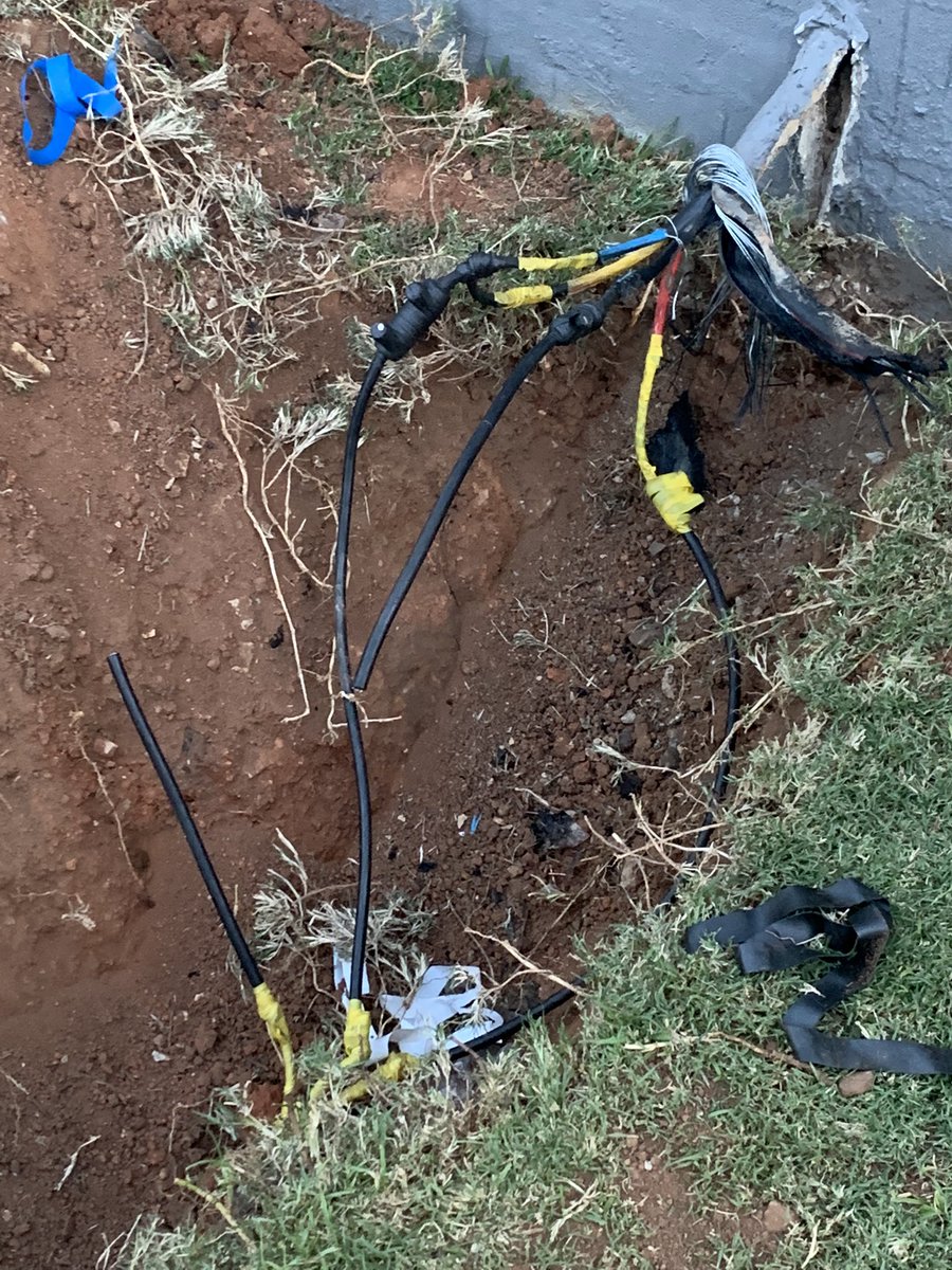 Gregory Visser tweet media