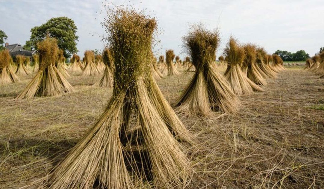 Noorden Groen tweet media