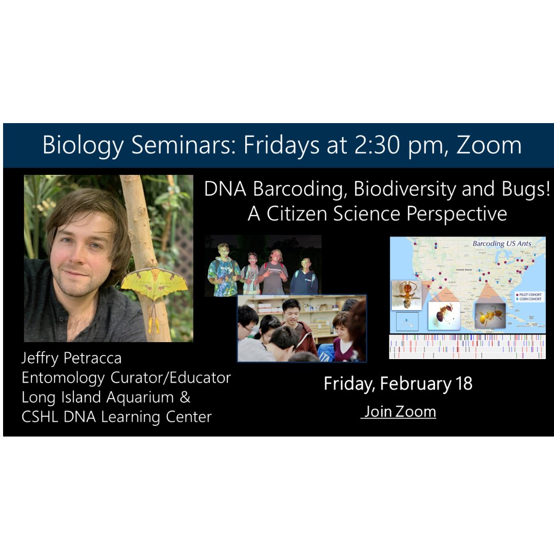BiologyGeneseo's tweet photo. Join the #SUNYGeneseo #geneseobiology department this Fri, Feb 18 at 2:30 on Zoom for a talk from Jeffry Petracca of @LIaquarium #LongIslandAquarium about insects, DNA barcoding and biodiversity. 
Geneseo Biology students can find the ZOOM link in their email. https://t.co/fIpcyeyToX