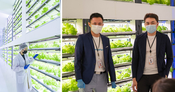 VFDaily's tweet photo. Saturn Agtech Pte Ltd.(Malaysia): Increasing food production in Southeast Asia, rolling out several farms and contracting farmers
https://t.co/l6EfSoiavo https://t.co/iVzplpDEtV