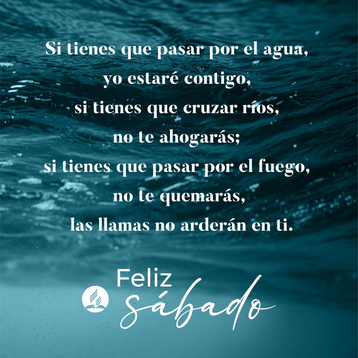 ¡Feliz sábado familia!  🥰