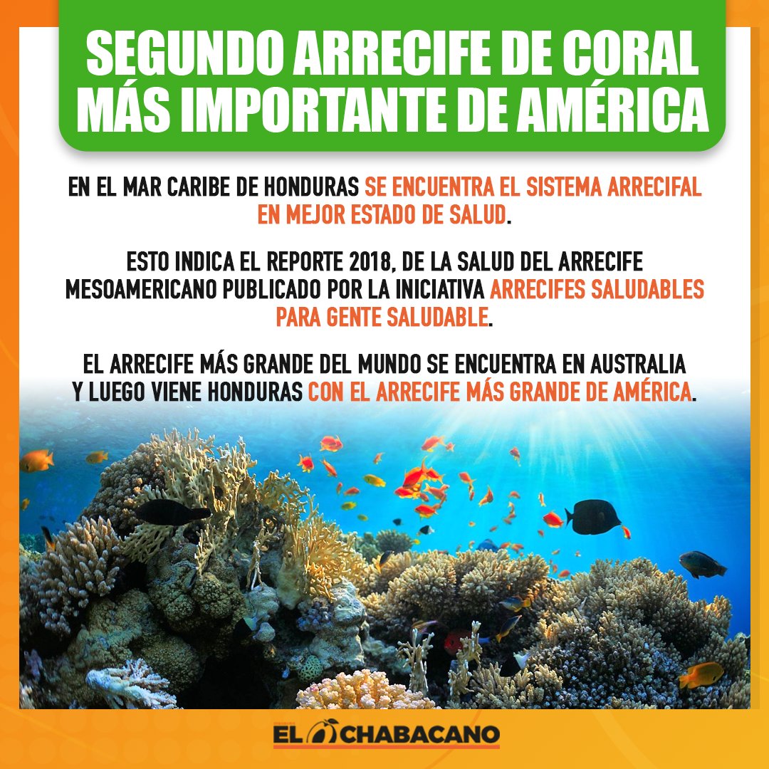 SemElChabacano's tweet photo. En el mar Caribe de Honduras se encuentra el sistema arrecifal en mejor estado de salud, según el reporte 2018 de la Salud del Arrecife Mesoamericano publicado por la Iniciativa Arrecifes Saludables para Gente Saludable. #CuriosidadesChabacanas https://t.co/MrtviUngQE