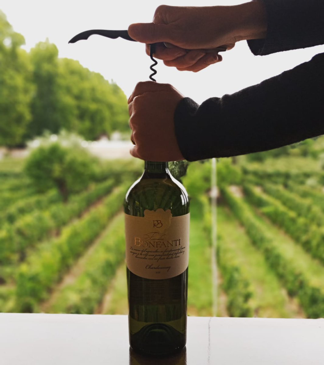 guiado para que conozcas el cuidado de nuestros viñedos, el proceso de elaboración del vinos y la degustación de los productos.

RESERVAS
261 341-0364