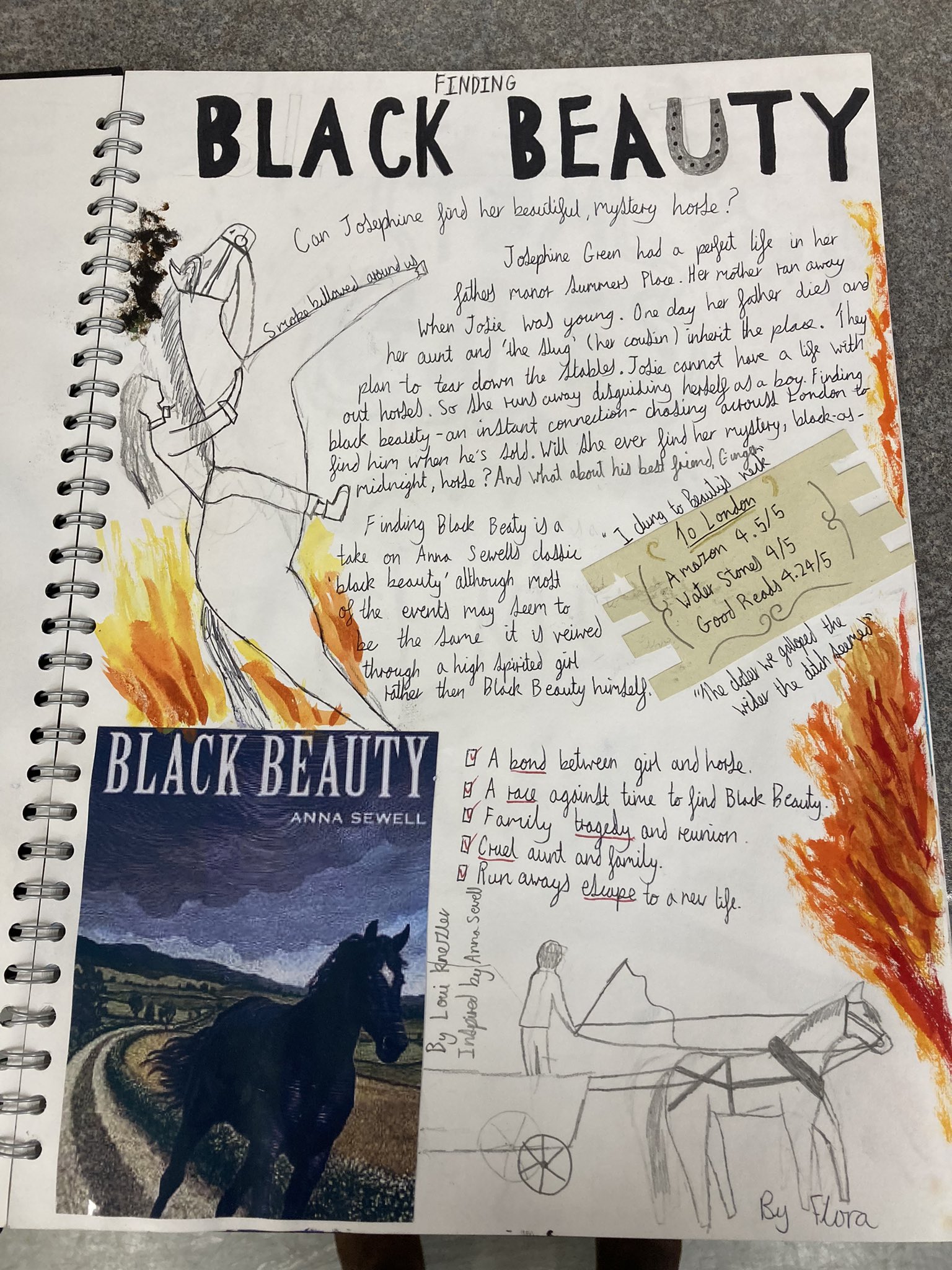 Book Review On Black Beauty