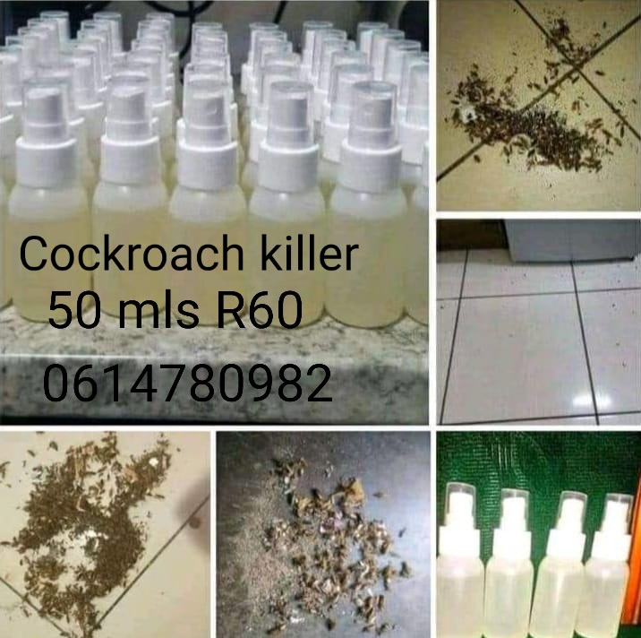 GHome1st's tweet photo. @Obakeng_Mol @CityTshwane Mabone a teng or not let's clean

Cockroach killer available R60 50mls bottle 
Resellers are welcome
0614780982 https://t.co/n1ldZksRZT