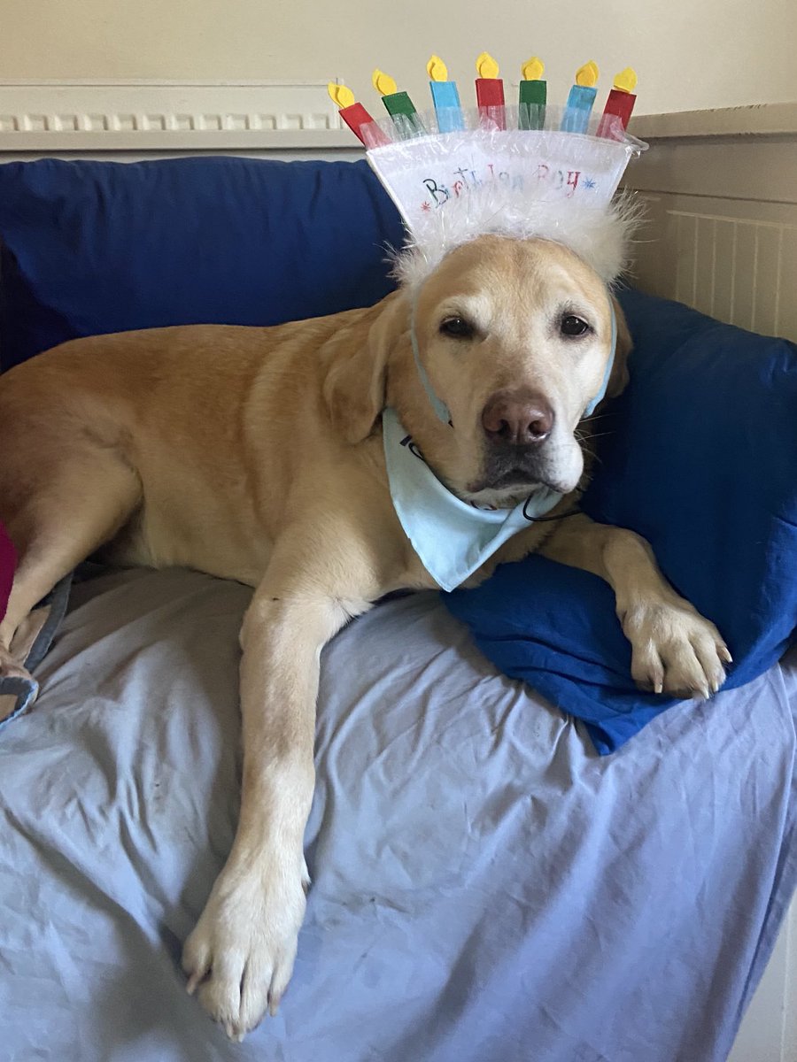 EmilyTaylor27's tweet photo. My dearest Ted Bear is 13 today. I love him so so much ❤️❤️❤️ https://t.co/9ECcmt9DWx