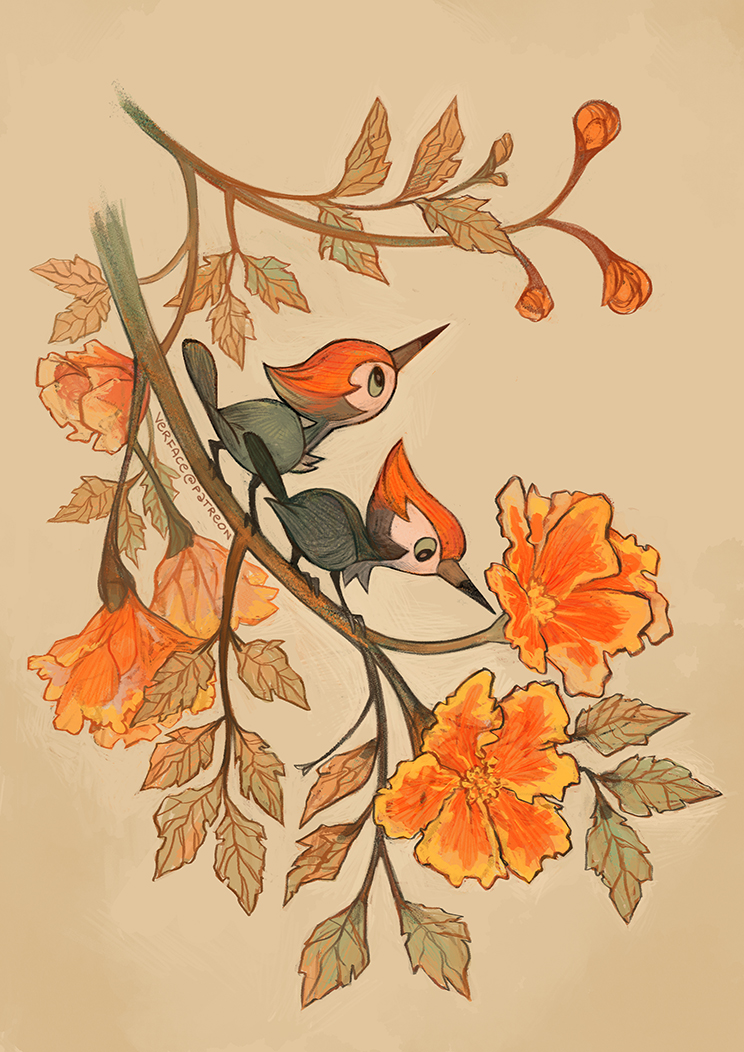 verface's tweet photo. my friend got me an illustrated bird atlas as a birthday gift and I wanted to draw bird Pokemon in a similar style https://t.co/QhInWh9aBV