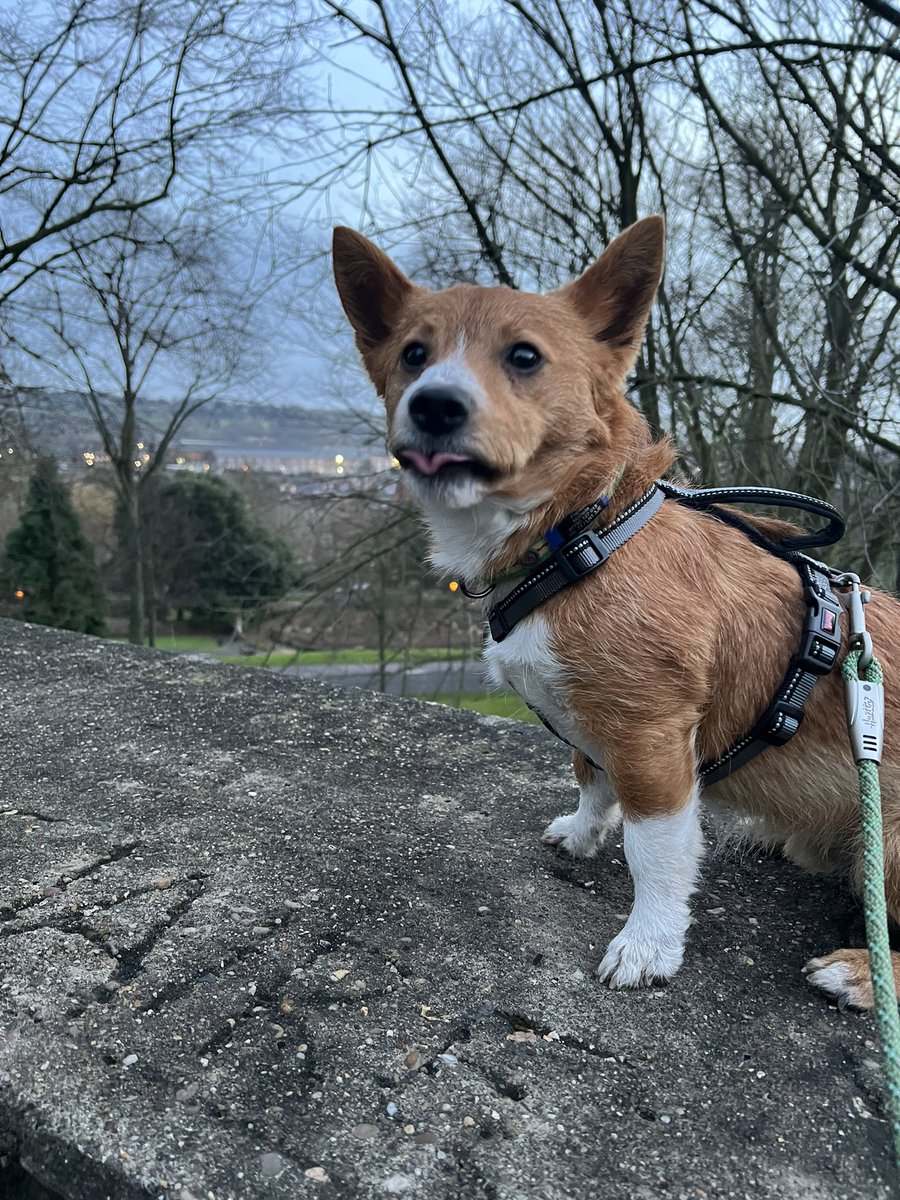 elisemcdade's tweet photo. #tongueouttuesday extreme edition! https://t.co/uhPAEtoWY1