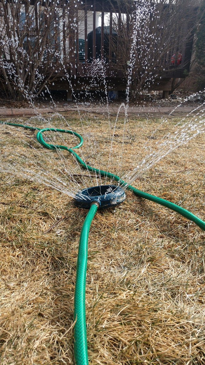HuskerHort's tweet photo. Nice weather means putting a little water in the turf. Don't forget to water your evergreens too! #NebExt https://t.co/lLwa9FqZWP