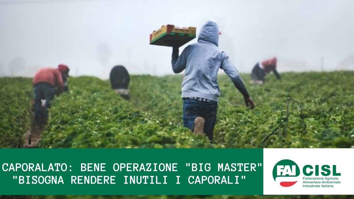 fai_cisl's tweet photo. #15febbraio #caporalato: "Bene l'operazione #BigMaster a #Latina, bisogna rendere inutili i caporali. Solo uniti possiamo debellare sfruttamento e meccanismi del lavoro nero" così la Segr. Naz. @RaffaBuonaguro e il SG @Fai_Cisl_Latina @islkotb
💻➡️https://t.co/sVdf6SOlRe https://t.co/2PNuZ9aqvV