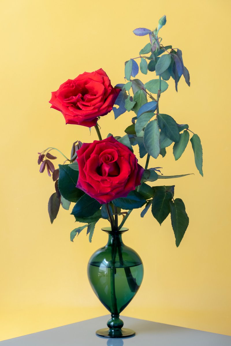 MacNCheese_4545's tweet photo. Ah, I'm a day late, but thank you @sad_girls_bar and @cypherchk for the Valentine's Day love with an airdrop. Red roses and black cats, I'm super down with it. 💜 🐈‍⬛ 🌹.  . https://t.co/qIGYVhltgQ