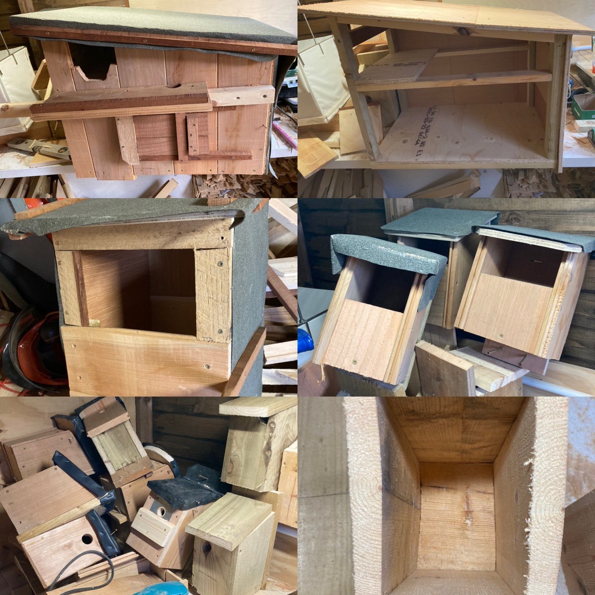 Anyone else’s shed full of nest boxes? - made 4 BO, Stock Dove, Dipper, 3 Spot Fly, 20 standard (for Pied Fly) so far this winter - all out of reclaimed wood- mainly wonky. #NationalNestboxWeek #recycle @BTO_Cymru @cofnod #nestboxes