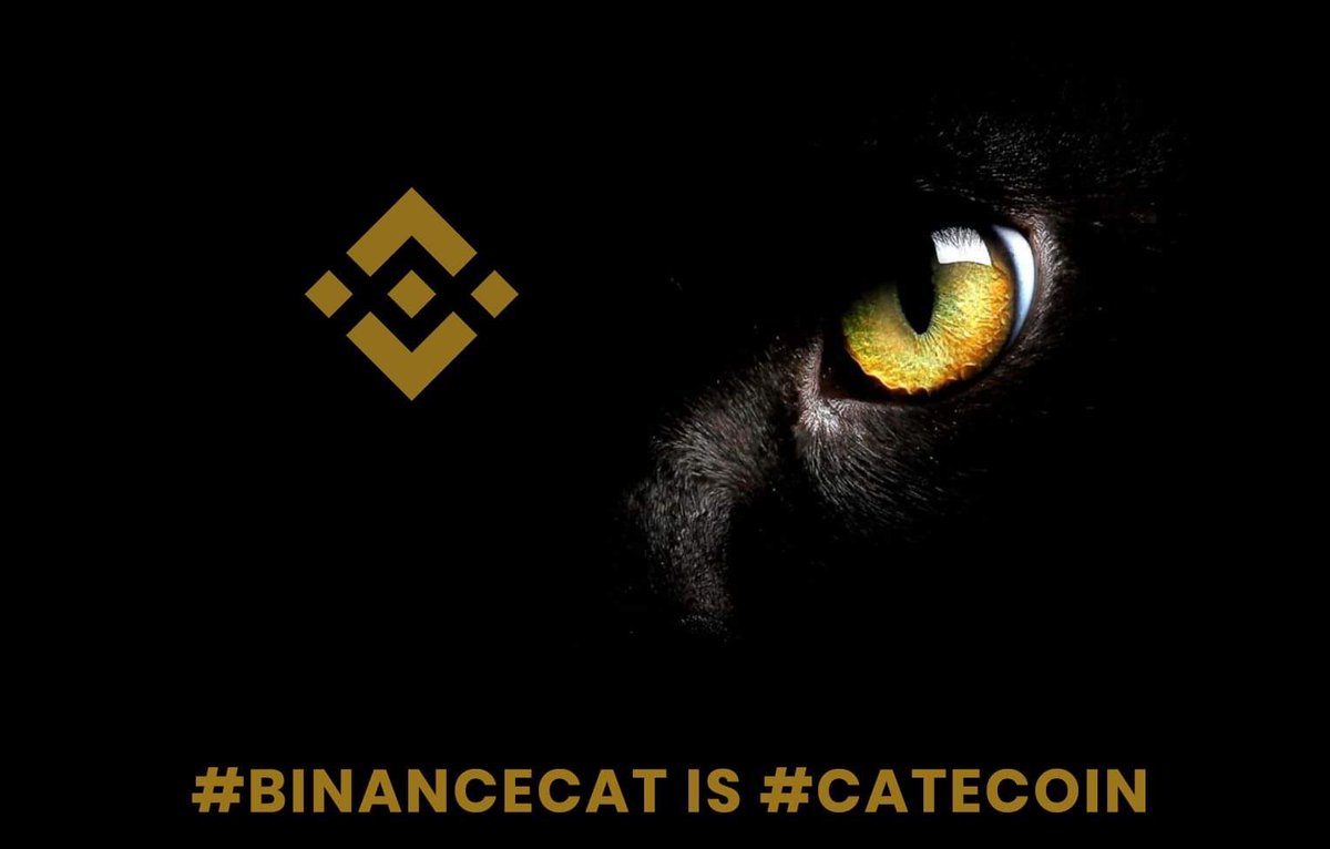 Catecoin0's tweet photo. @BinanceChain #catecoin #catecoinbinancelist2022
We're waiting for the big news. 🚀 https://t.co/LREA1IUv76
