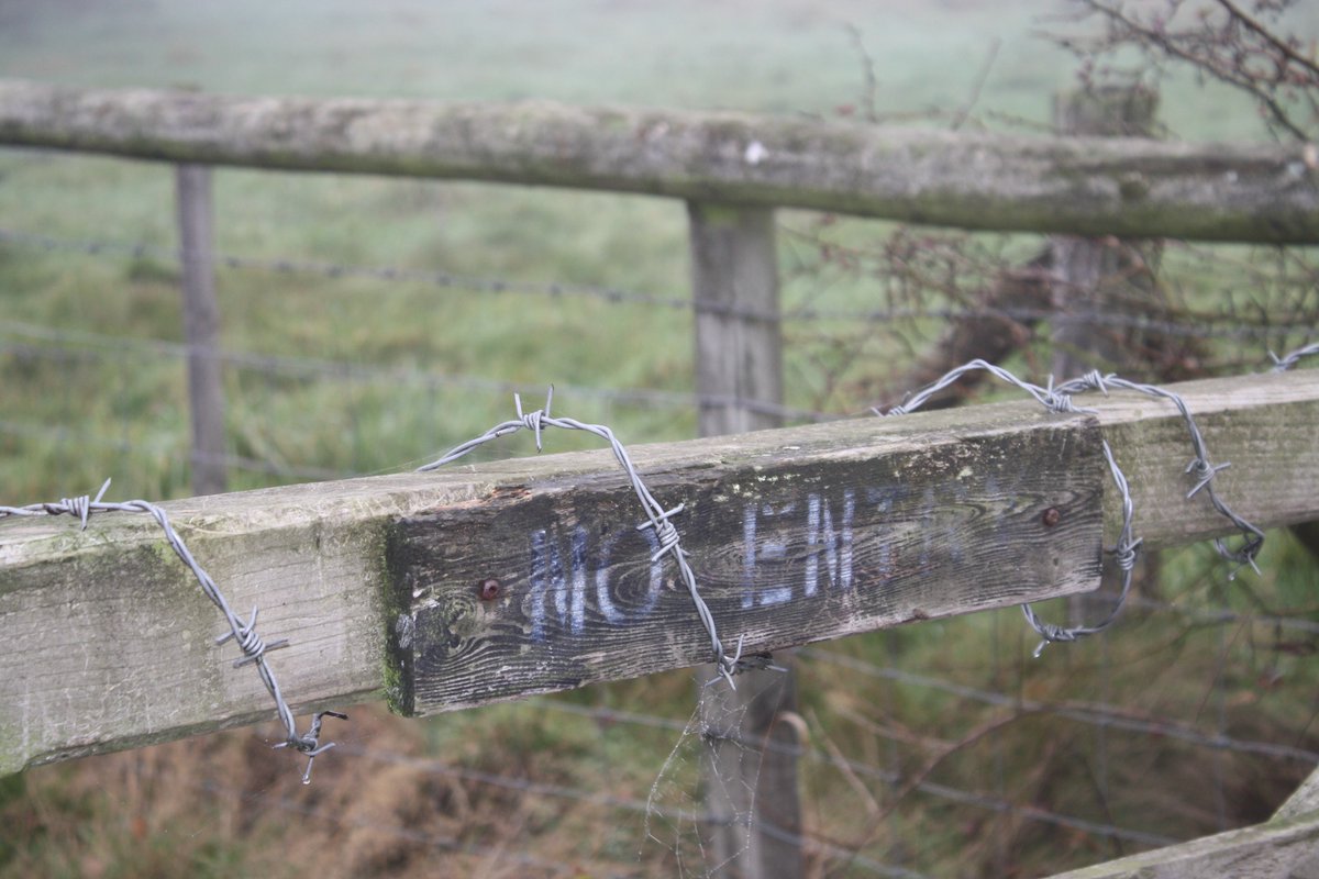 cornish_jack's tweet photo. We are looking for a new Paths Manager in the team. Someone who can oversee all our support for path volunteers, drive improvement in how we demonstrate the impact of the Ramblers and project manage aspects of #DontLoseYourWay.
Please spread the word!
https://t.co/Y4aBvTZP4K https://t.co/pMUHVDRqk6