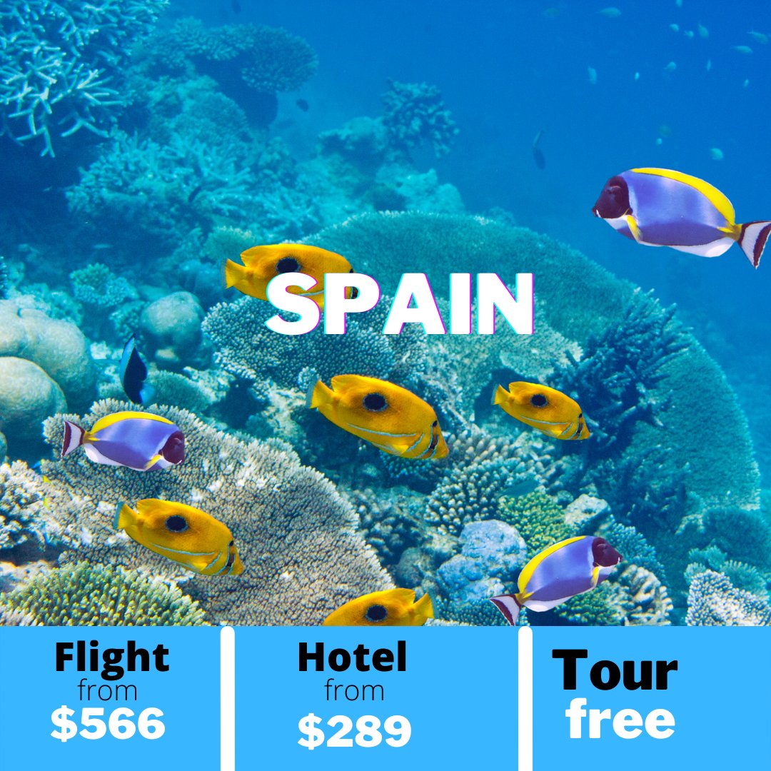 flysways's tweet image. National Flight Deals
Check this and many other offers on our website
🌎 flysways.com