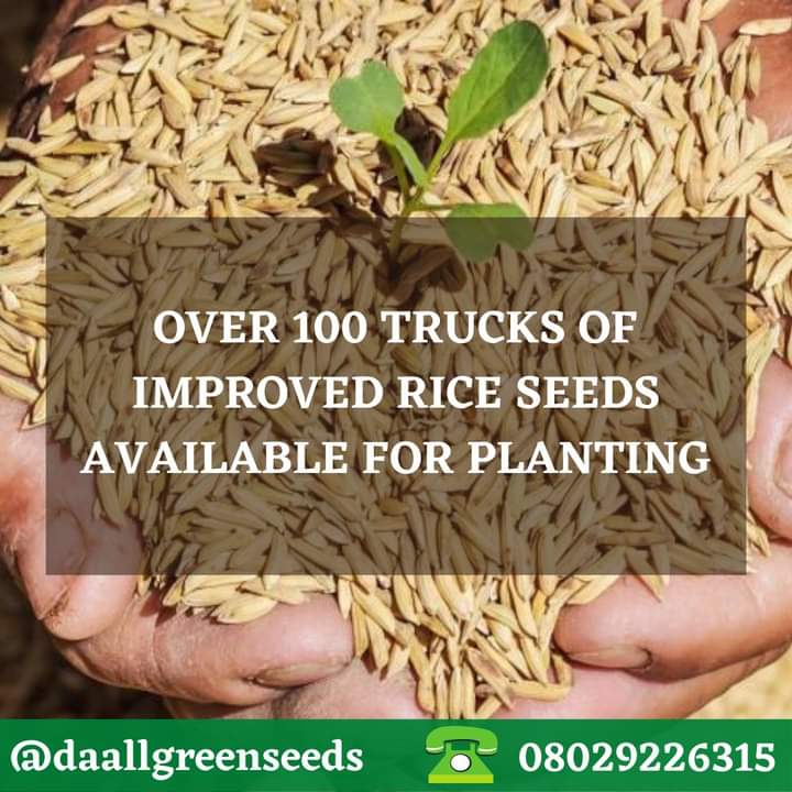 seeds_da's tweet photo. https://t.co/oL4R3ZaP3E